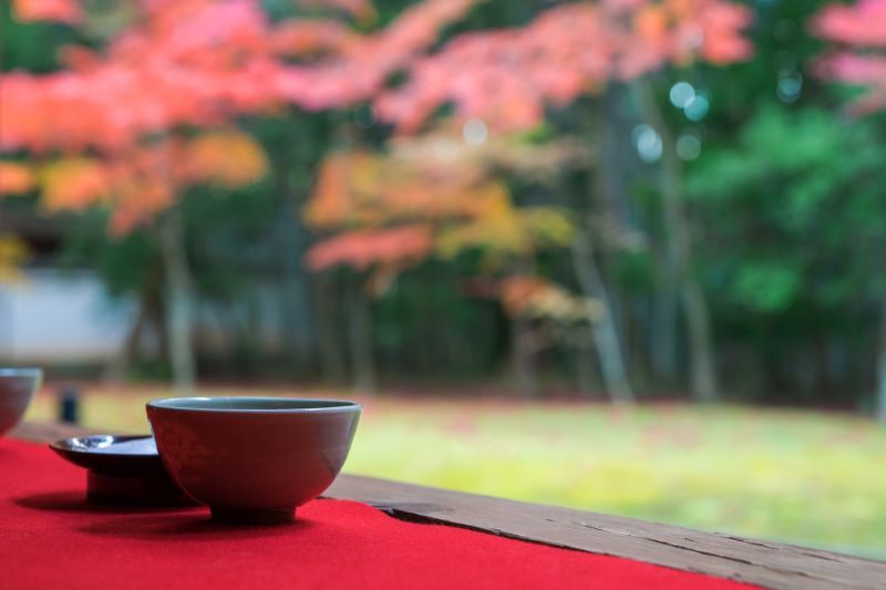 寺6