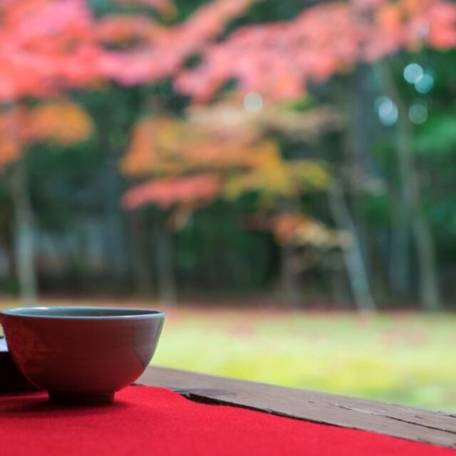 寺6
