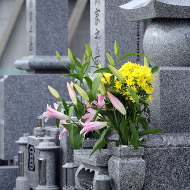 寺7